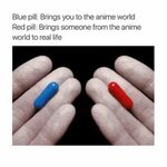 コ ン プ リ-ト. red pill or blue pill meme template 730652 - Gamb