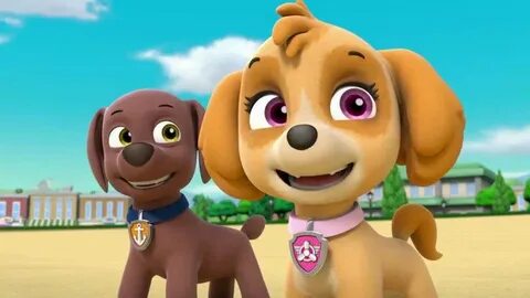 Chase Wiki Paw Patrol World Amino