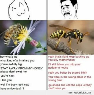 Bees Vs. Wasps 3 Bee, Stupid funny memes, Bones funny