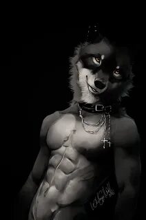 All Eyes on Me :. Furry wolf, Furry art, All about eyes