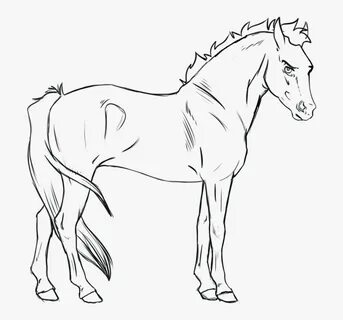 Cartoon Horse Lineart, HD Png Download , Transparent Png Ima