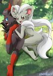 Rule34 - If it exists, there is porn of it / cinccino, zorua