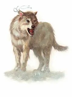 Winter Wolf (D&D 3.5 MM) Winter wolves, Dragon wolf, Wolf