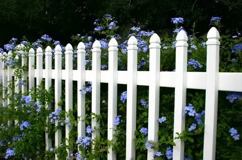 26 Cheery White Picket Fence Ideas and Designs White picket 