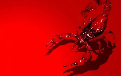 The Bloody scorpion, drawed, red x - Wallpapers, photografie