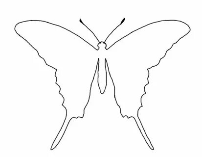 Butterfly Outline Or Silhouette: Basic Butterfly Shapes