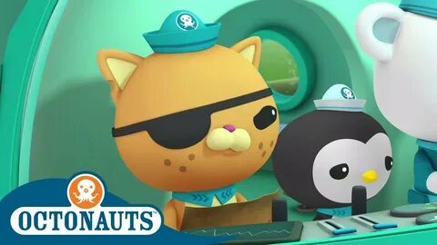 Octonauts - Looking for Hidden Treasures Cartoons for Kids U