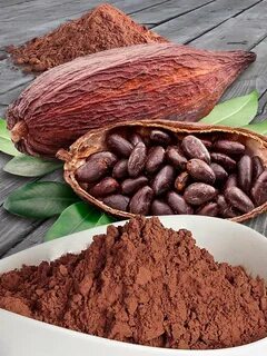Какао-бобы: польза и вред для здоровья