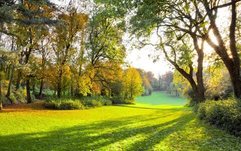 Обои Осенний парк, солнечные лучи, солнечный свет, осенний л