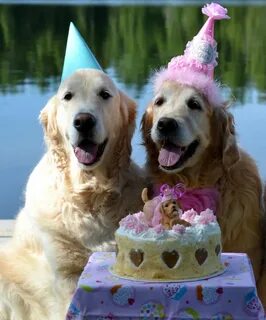 What To Do For Someone's Golden Birthday - Best Website 2022