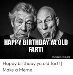 🔥 25+ Best Memes About Happy Birthday Old Fart Meme Happy Bi