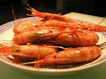 Category:Drunken shrimp - Wikimedia Commons