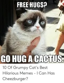 ✅ 25+ Best Memes About Hug a Cactus Hug a Cactus Memes