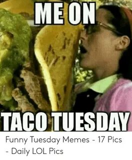 🐣 25+ Best Memes About Taco Meme Funny Taco Meme Funny Memes