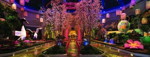 17 Top Family Activities in Las Vegas La attractions, Botani