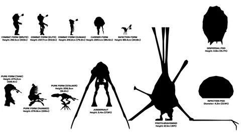 Determining the Real Sizes of Objects in Halo: 720p Edition 