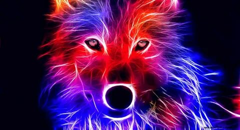 Colorful Wolf Wallpapers Wallpapers - Most Popular Colorful 