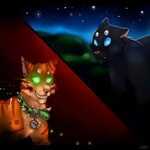 Fire will rule the forest Warrior cats, Warrior cats comics,