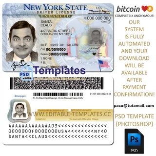 Download New York State Drivers License Template Psd - ARE
