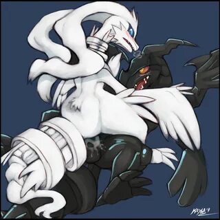 Reshiram Hentai