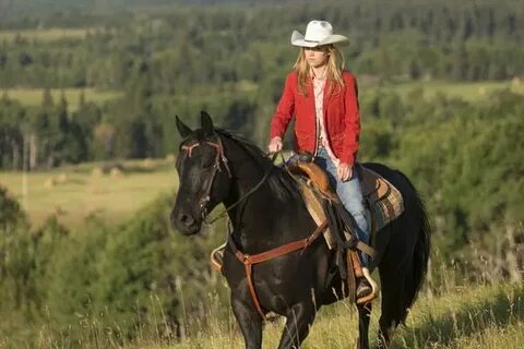 Blog - Heartland Heartland amy, Heartland cast, Heartland