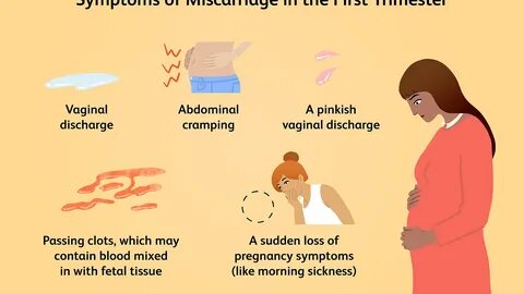 Miscarriage Symptoms 4 Weeks - Angga Tani.