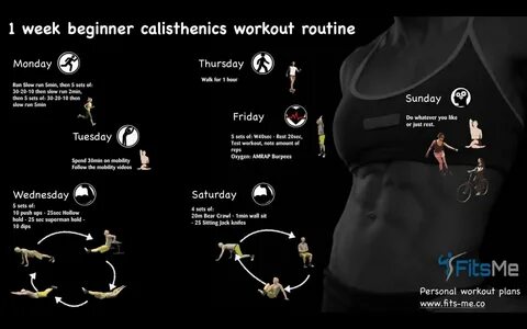 Calisthenics Workout Routines For Beginners - Berry Blog Cal