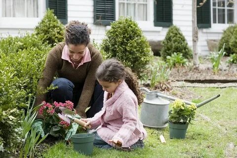 Gardening Basics How to Start a Garden Vegetable garden plan
