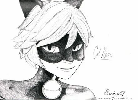 How To Draw Ladybug And Cat Noir Anime