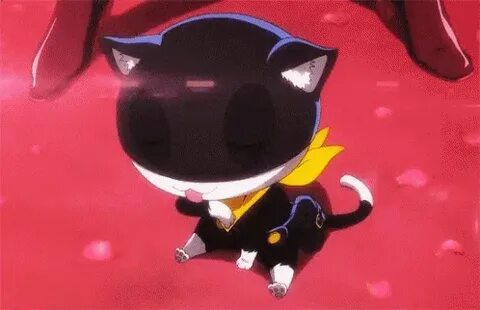 Morgana Persona5 GIF - Morgana Persona5 Grooming - Discover 