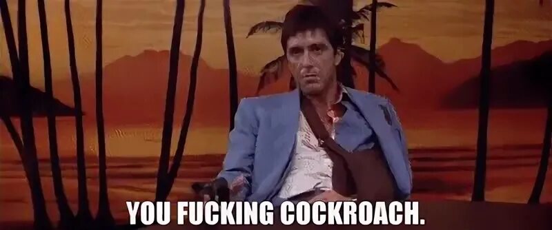 Yarn you fucking cockroach. Scarface (1983) Video clips by q