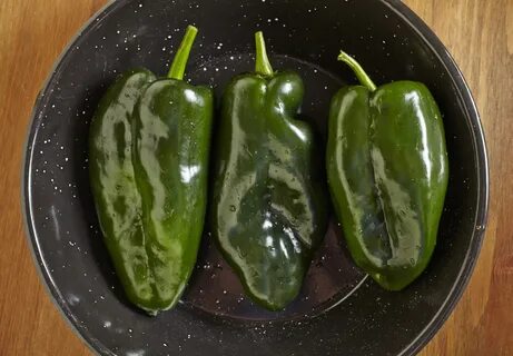 pasilla pepper vs poblano