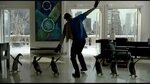 Mr Poppers Penguins 2011 Trailer - NovostiNK