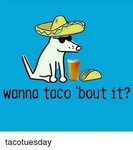 Wanna Taco 'Bout It? Tacotuesday Meme on ME.ME