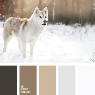 Цветовая палитра № 3675 Skin color palette, Color palette li