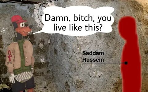 Damn bitch, you live like this? Saddam Hussein's Hiding Plac