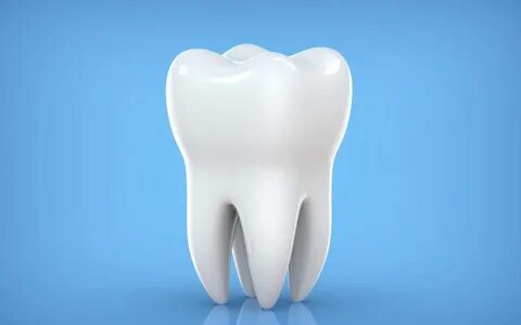 Structure of the Human Tooth - Diamond Bar Dental Studio