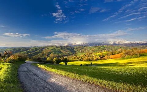 обои : пейзаж, небо, green field, Деревьями, Цены расширенны