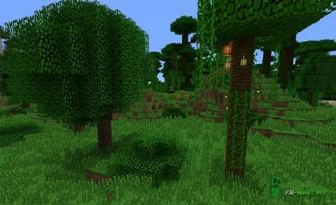 ⛏ FR-Minecraft Biome Orée de la jungle