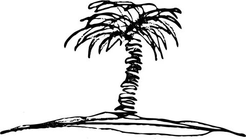 Palm Tree Clipart Black And White - Palm Tree Sketch Vector 