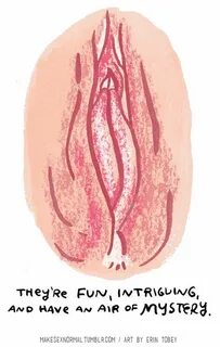 Vagina Shape Size Color And Types Of Vagina Healthable My XX