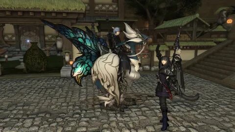 Chocobo Barding Ffxiv - Showing 55 of 50 available (12 hidde