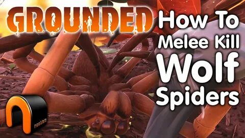 GROUNDED How to Kill A Wolf Spider #Grounded - YouTube