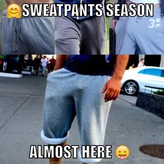 No_Shock_Advised в Твиттере: "#SweatpantsSeason is coming! #