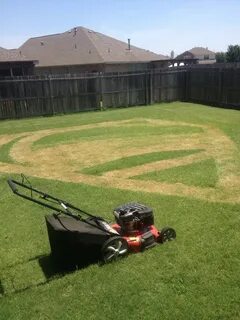 someone to mow my lawn OFF-60