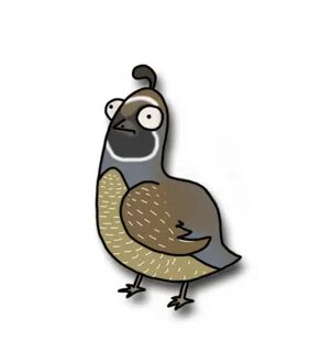 Quail clipart drawn, Quail drawn Transparent FREE for downlo