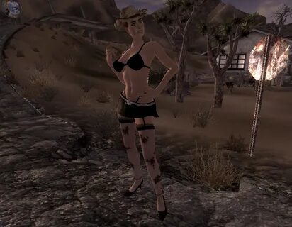 Cass - New Look at Fallout New Vegas - mods and community