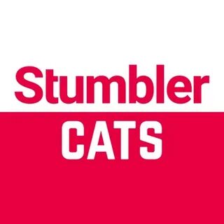Stumbler Cats (@StumblerCats) Twitter تغريدات * TwiCopy