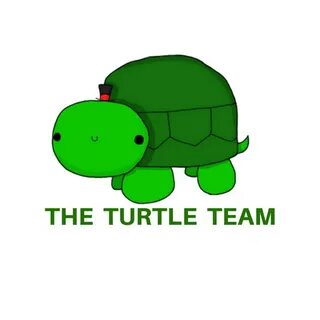 The Turtle Team - YouTube