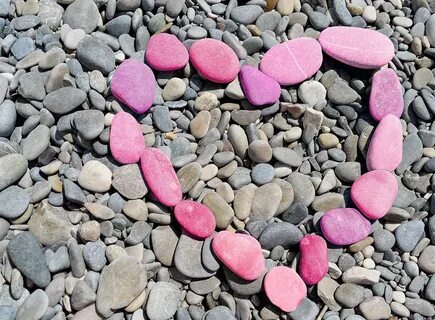 Free Images : beach, nature, rock, petal, summer, love, hear